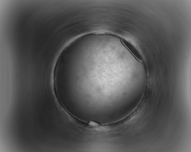 X0000088831191200706141515
