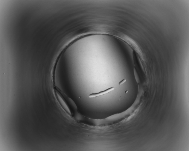 X0000088831192200706141515