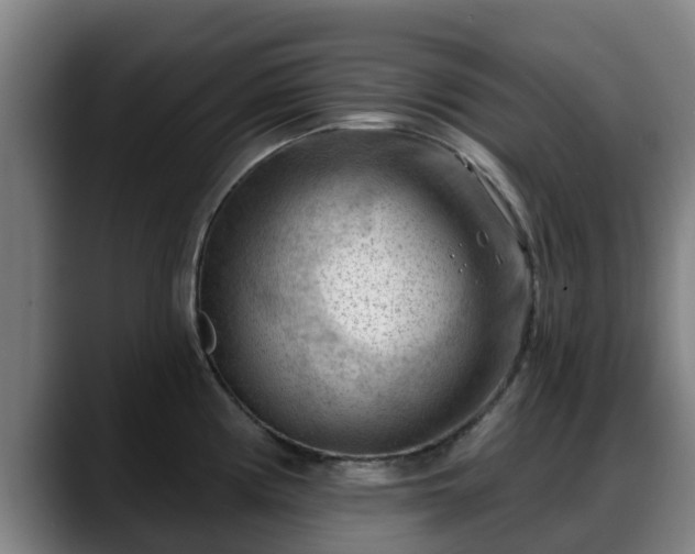X0000088831194200706141515