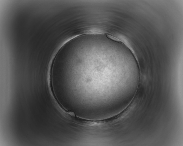 X0000088831195200706141515