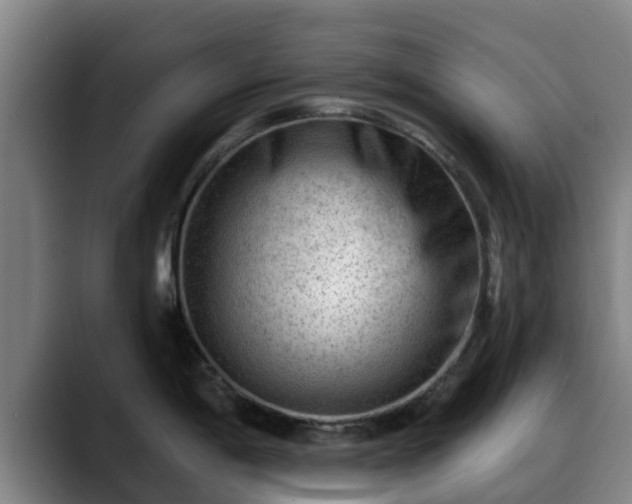 X0000088831198200706141515