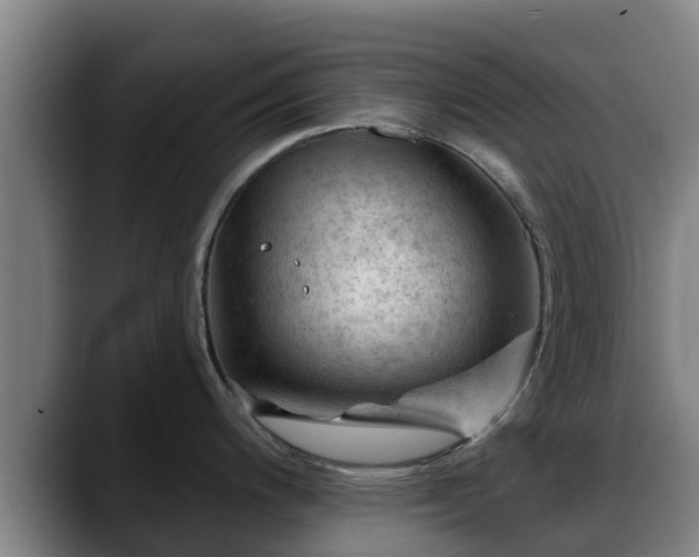 X0000088831200200706141515