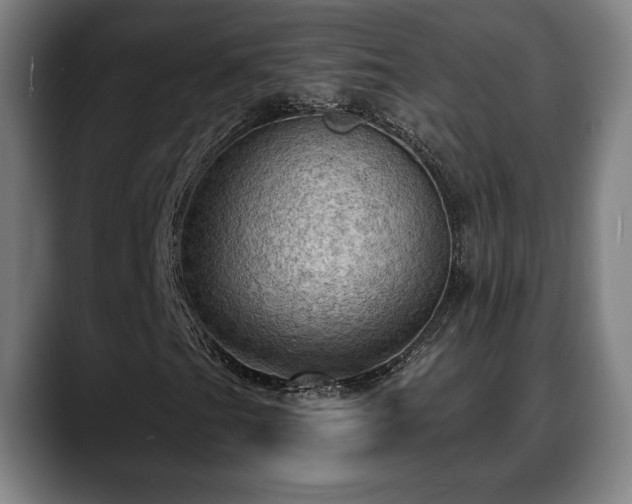 X0000088831201200706141514