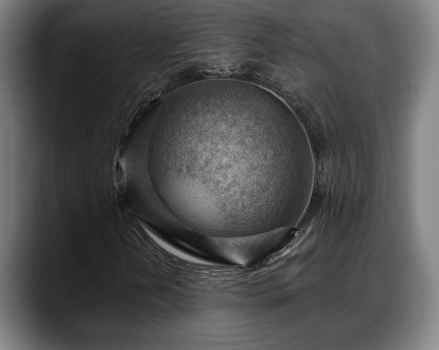 X0000088831202200706141514
