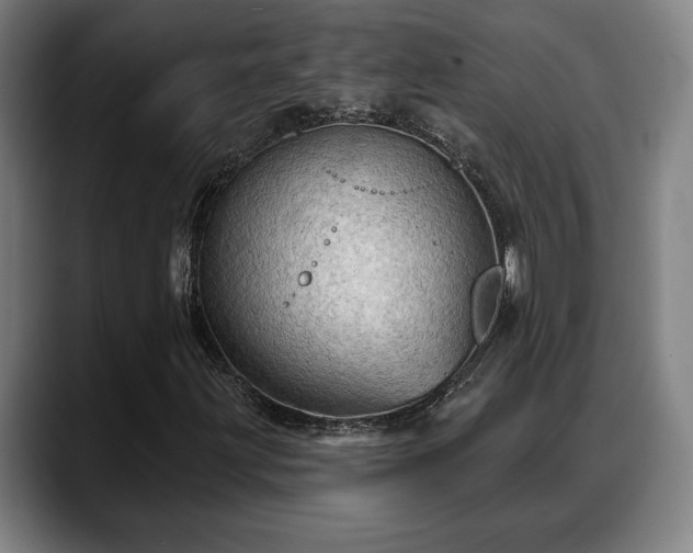 X0000088831203200706141514