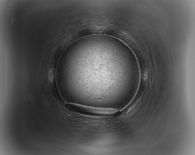 X0000088831204200706141514