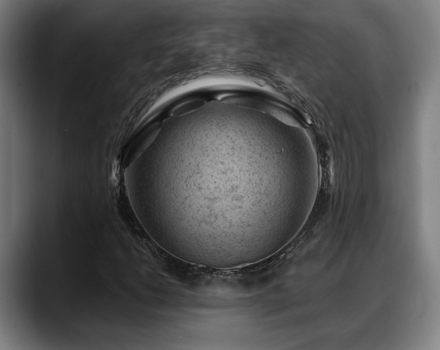 X0000088831206200706141514
