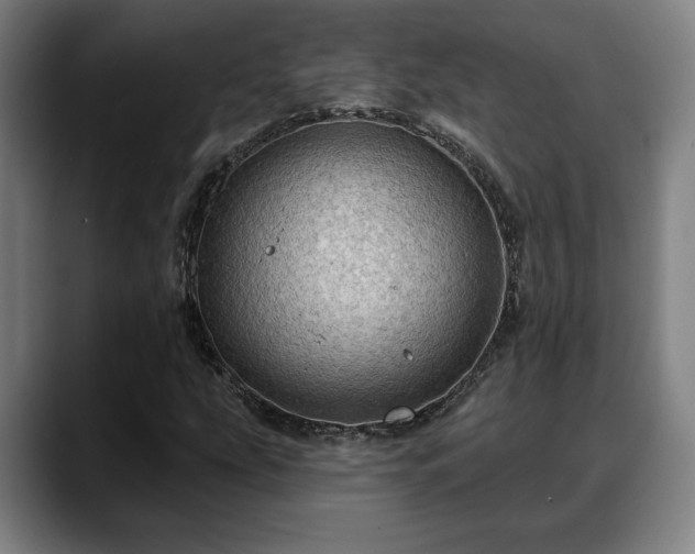 X0000088831207200706141514
