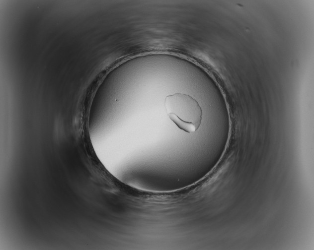 X0000088831211200706141514