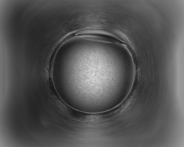 X0000088831212200706141514