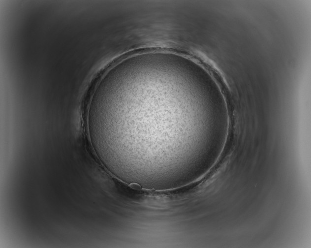 X0000088831215200706141514