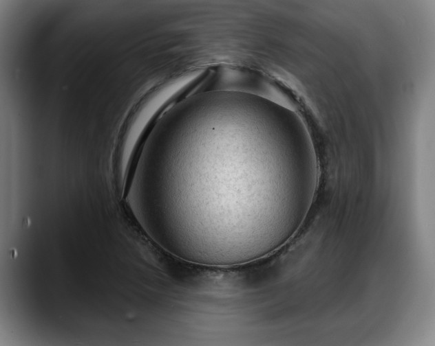 X0000088831218200706141514