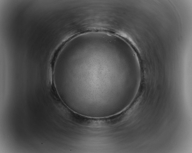 X0000088831219200706141514