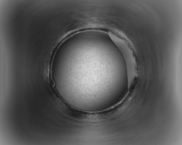 X0000088831220200706141514