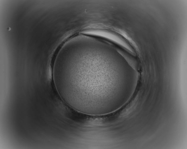 X0000088831221200706141514