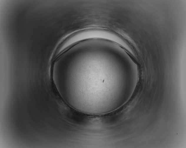 X0000088831222200706141514