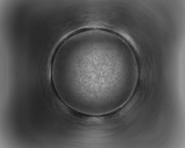 X0000088831224200706141514