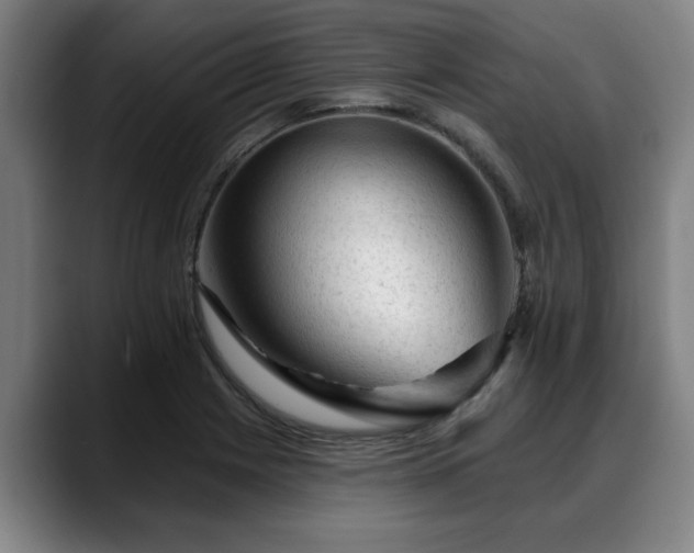 X0000088831225200706141514