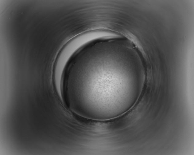 X0000088831226200706141514
