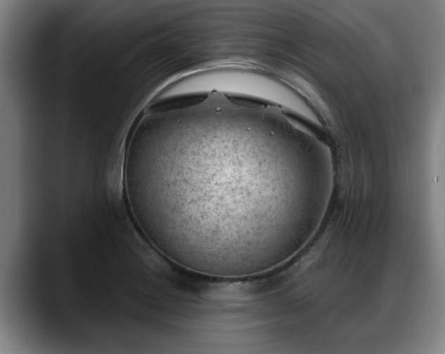 X0000088831228200706141514