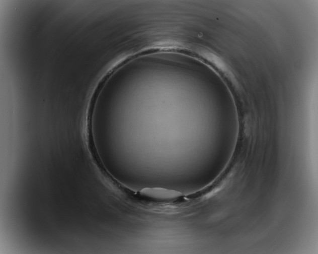 X0000088831229200706141514