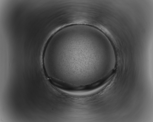 X0000088831230200706141514