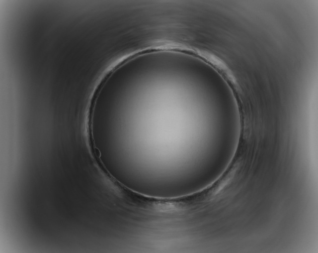 X0000088831231200706141514