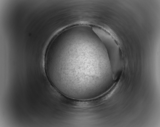 X0000088831232200706141514