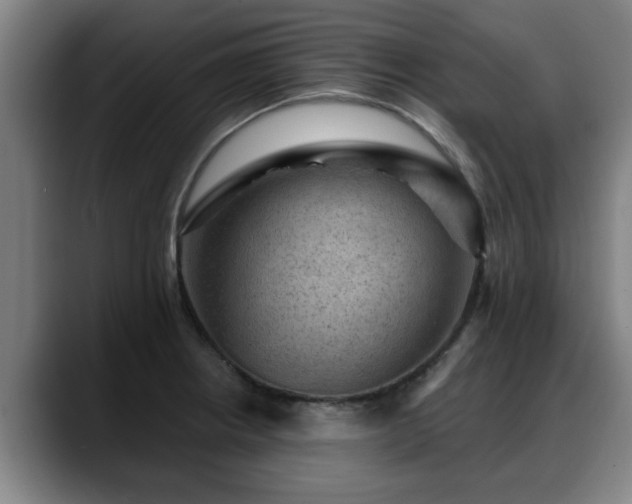 X0000088831234200706141515