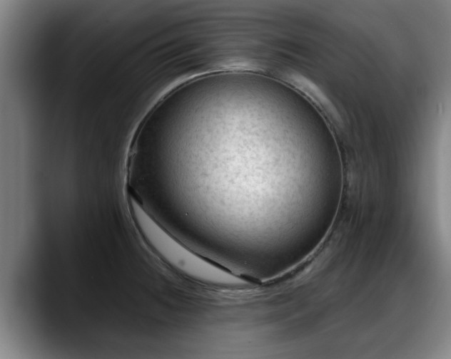 X0000088831236200706141515