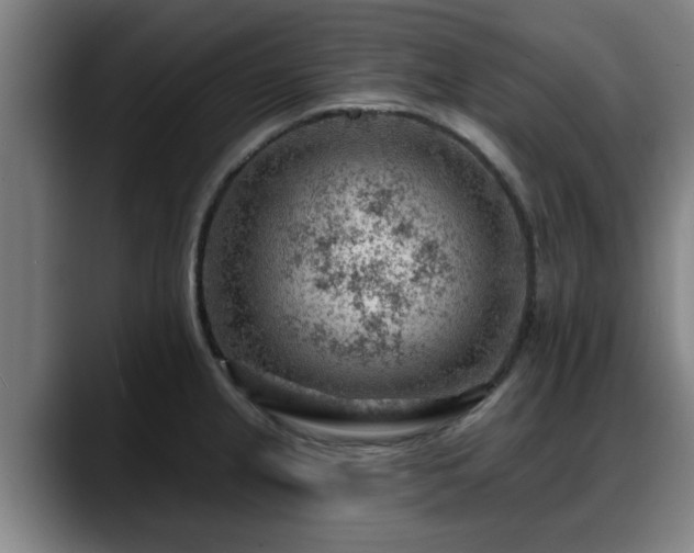 X0000088831237200706141515