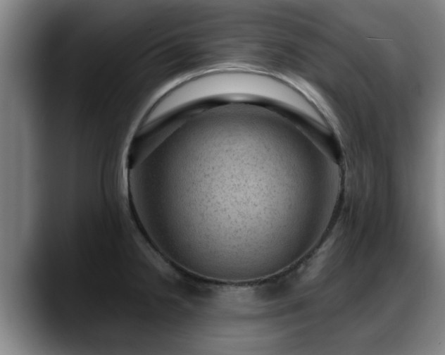X0000088831238200706141515