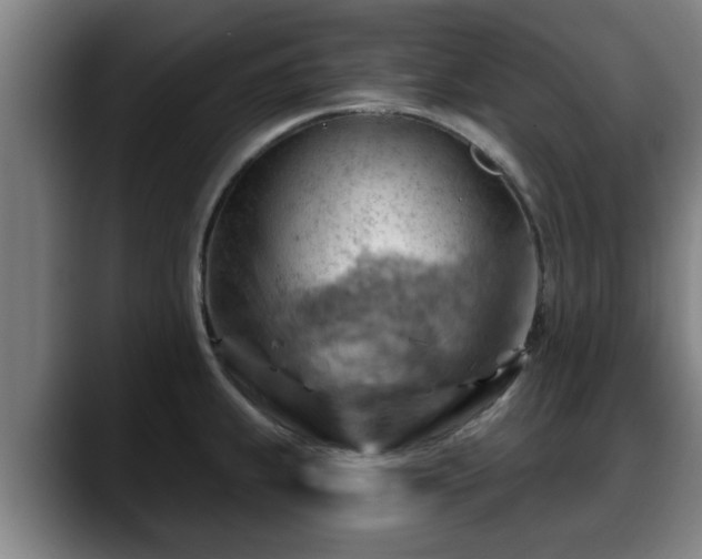 X0000088831239200706141515