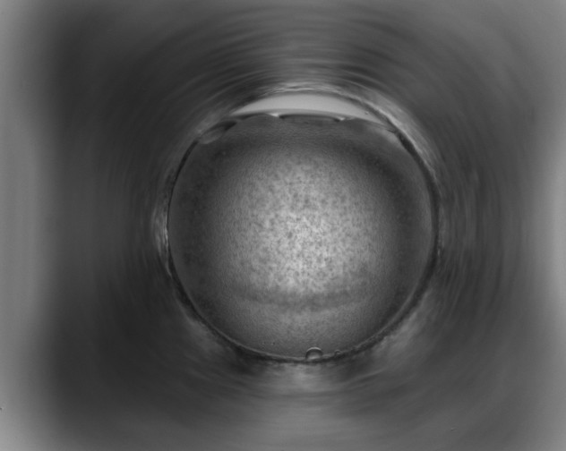 X0000088831241200706141515