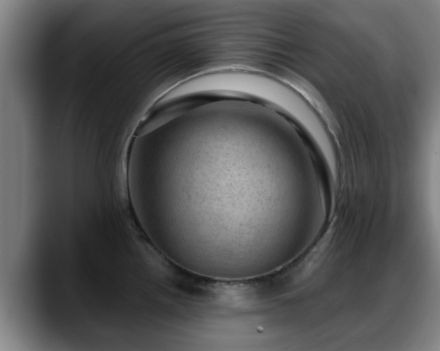 X0000088831242200706141515