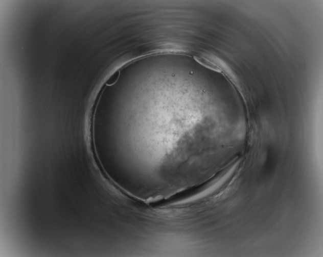 X0000088831243200706141515