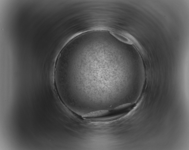 X0000088831244200706141515