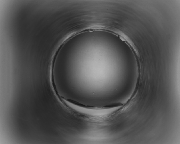 X0000088831245200706141515