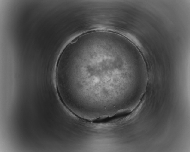 X0000088831247200706141515