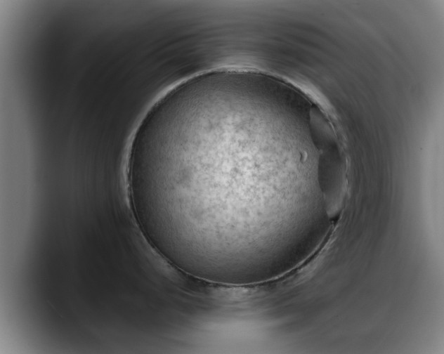X0000088831248200706141515