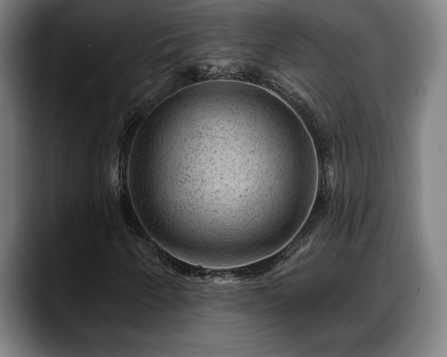 X0000088831250200706141514