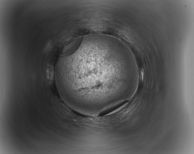 X0000088831251200706141514
