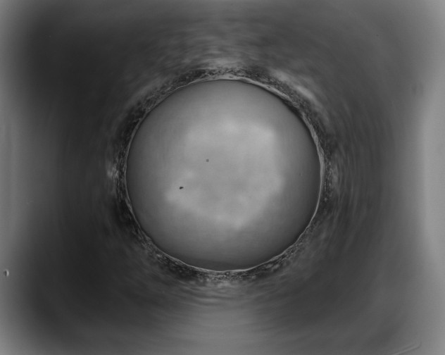 X0000088831254200706141514