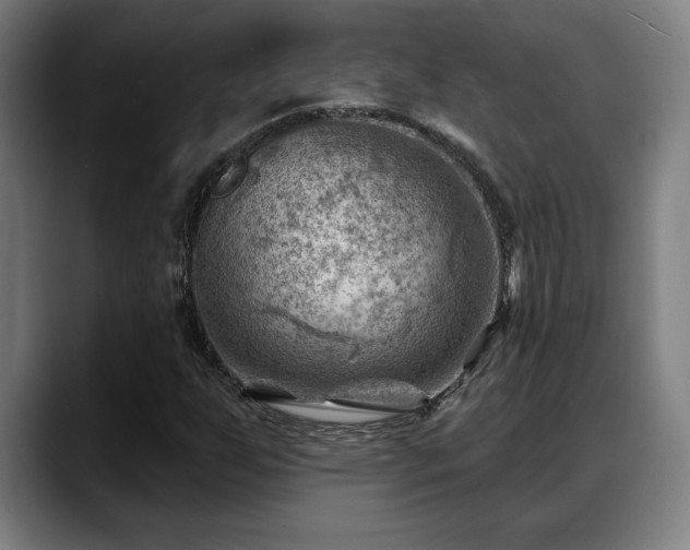 X0000088831255200706141514