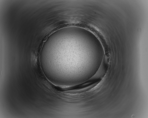 X0000088831257200706141514