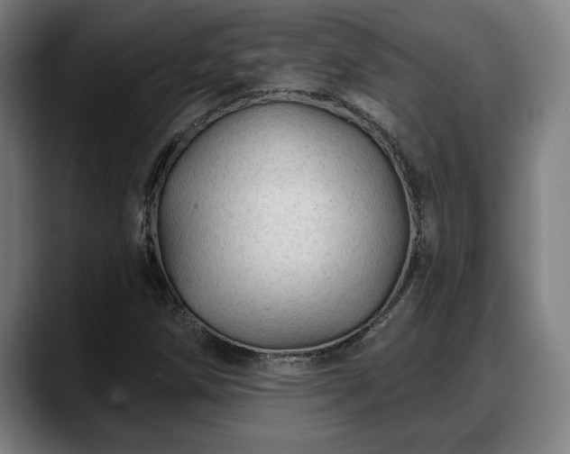 X0000088831258200706141514