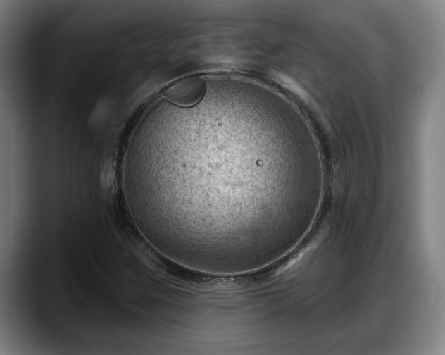 X0000088831259200706141514