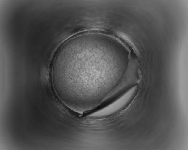 X0000088831260200706141514