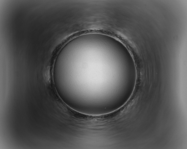 X0000088831262200706141514