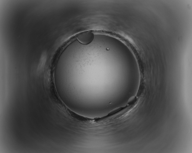X0000088831263200706141514